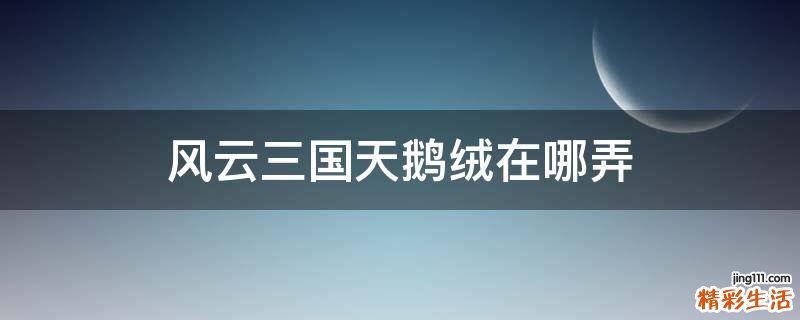 风云三国天鹅绒在哪弄