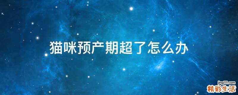 猫咪预产期超了怎么办