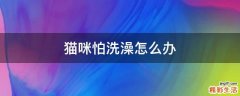 猫咪怕洗澡怎么办