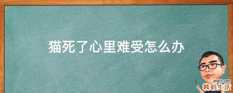 猫死了心里难受怎么办