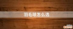 羽毛球怎么选