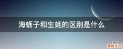 海蛎子和生蚝的区别是什么