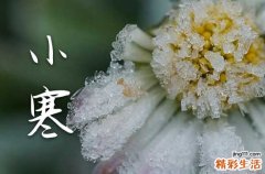 2024小寒节气吃什么 各地小寒节气吃什么食物