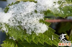 2024小寒吃什么传统食物 2024小寒应该吃什么食物