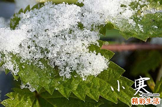 2024小寒吃什么传统食物 2024小寒应该吃什么食物