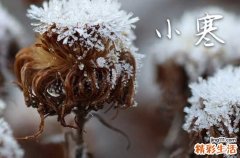 2024小寒吃什么水果好 小寒适合吃哪种水果