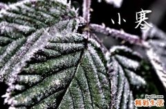 2024小寒吃什么养生 2024小寒节气如何饮食养生