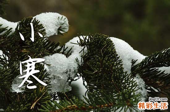 2024小寒是几九 2024小寒节气是几九第几天