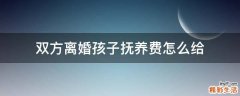 双方离婚孩子抚养费怎么给