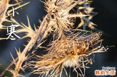 2024小寒有哪些习俗 小寒节气的风俗是什么