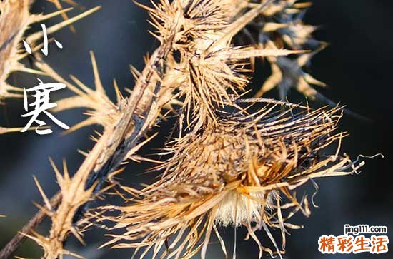 2024小寒有哪些习俗 小寒节气的风俗是什么