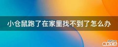 小仓鼠跑了在家里找不到了怎么办