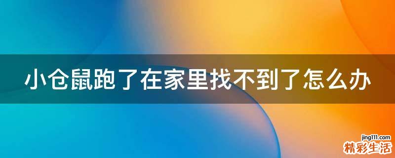 小仓鼠跑了在家里找不到了怎么办