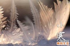 2024小寒要注意什么 2024小寒如何防寒保暖