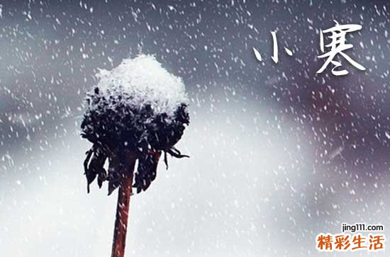 2024什么时候小寒大寒 2023小寒大寒是哪一天