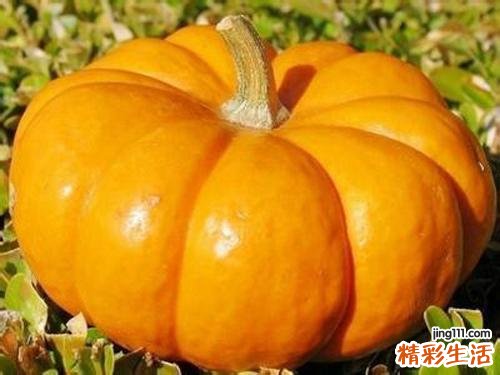 南瓜的功效与作用 南瓜的吃法