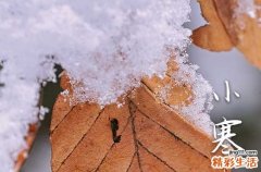 2024年的小寒是几点钟 2024年小寒的准确时间