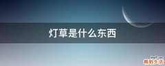 灯草是什么东西