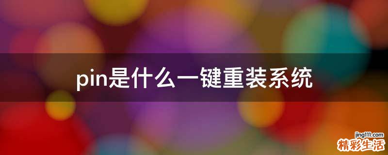 pin是什么一键重装系统