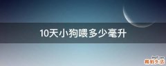 10天小狗喂多少毫升