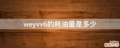 weyvv6的耗油量是多少