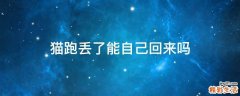 猫跑丢了能自己回来吗