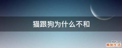猫跟狗为什么不和