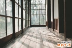 老人出游需带什么物品好