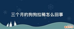 三个月的狗狗拉稀怎么回事