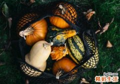 南瓜里面发芽了还能吃吗 这样的南瓜你还敢吃吗