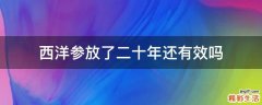 西洋参放了二十年还有效吗