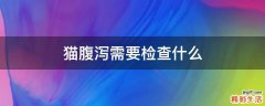 猫腹泻需要检查什么