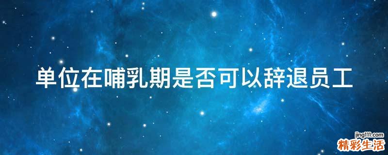 单位在哺乳期是否可以辞退员工