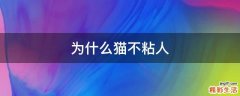 为什么猫不粘人