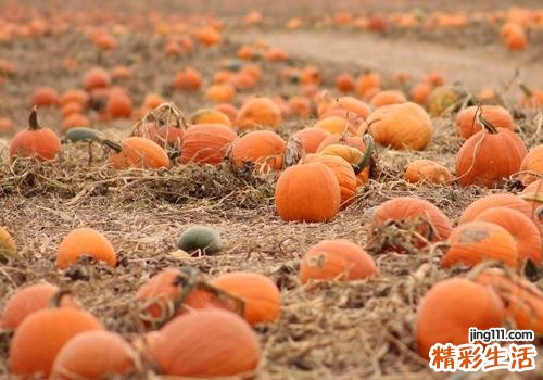 经常吃南瓜有什么好处 常吃南瓜居然会变成这样