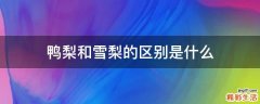鸭梨和雪梨的区别是什么
