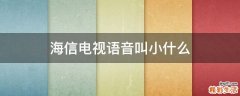 海信电视语音叫小什么