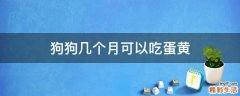 狗狗几个月可以吃蛋黄