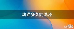 幼猫多久能洗澡