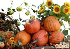 吃南瓜有什么好处 常吃南瓜原来有这么多好处