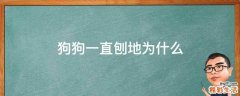 狗狗一直刨地为什么