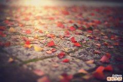 老人适合用电动牙刷吗