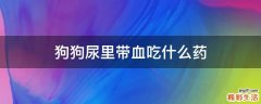狗狗尿里带血吃什么药