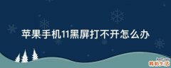 苹果手机11黑屏打不开怎么办