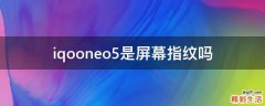 iqooneo5是屏幕指纹吗