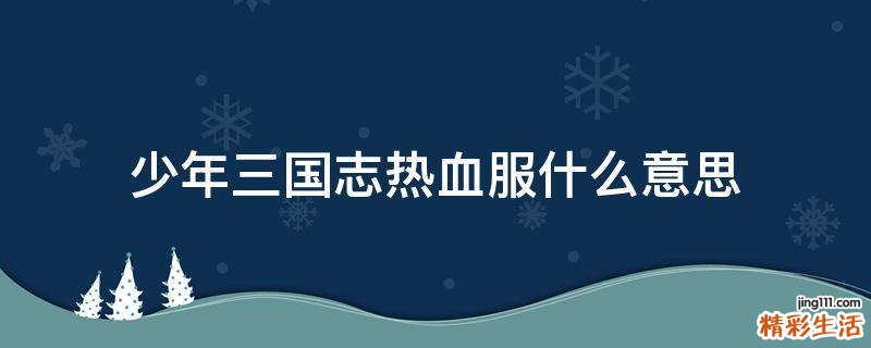 少年三国志热血服什么意思