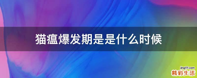 猫瘟爆发期是是什么时候