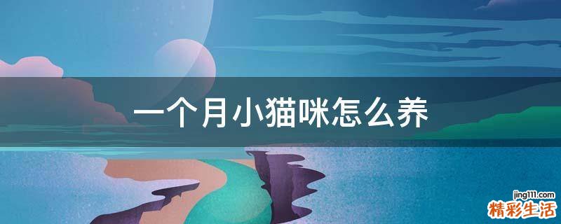 一个月小猫咪怎么养