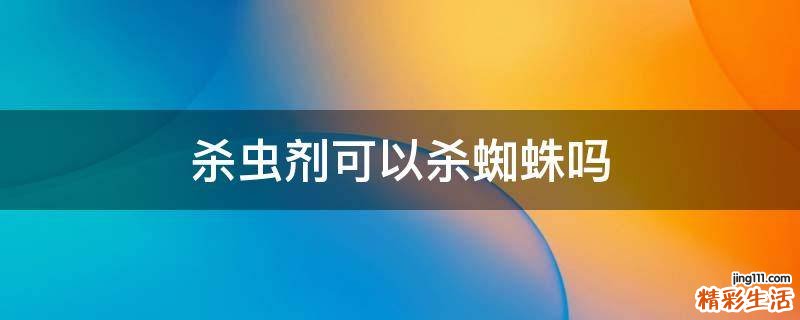 杀虫剂可以杀蜘蛛吗