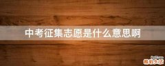 中考征集志愿是什么意思啊
